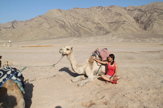 What to do in Egypt